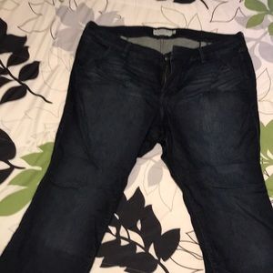 Torrid Jeans